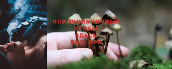 ECSTASY Арсеньев