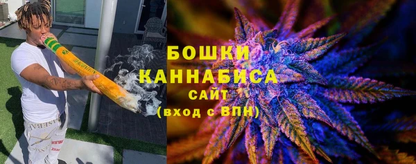 сатива Армянск