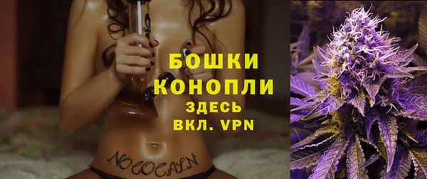 сатива Армянск